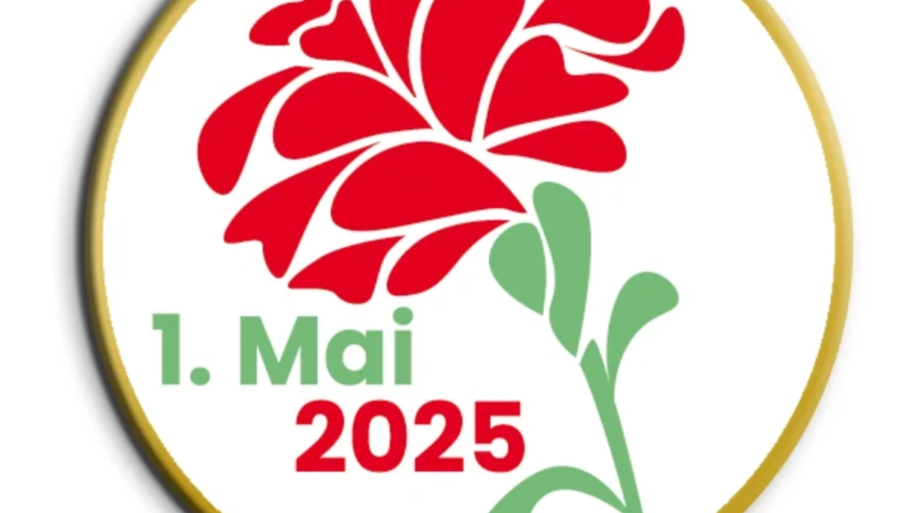 20250425_Mai_Pin